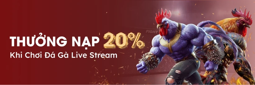 DA88 Thưởng 288,000 VND Hàng Tuần Khi Chơi Đá Gà Live Stream